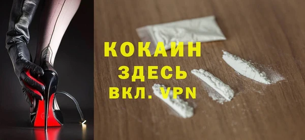 хмурый Арсеньев