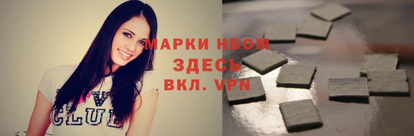 хмурый Арсеньев