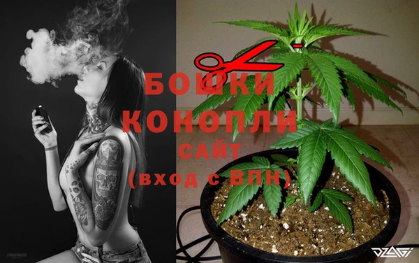 хмурый Арсеньев