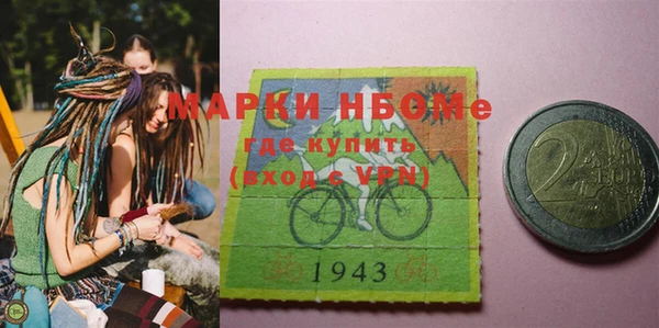 хмурый Арсеньев