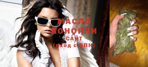 хмурый Арсеньев