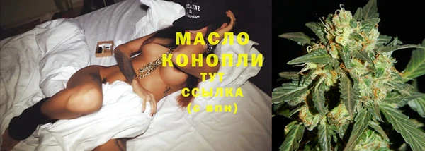 хмурый Арсеньев