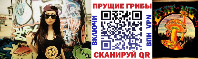 купить наркоту  Ртищево  Псилоцибиновые грибы GOLDEN TEACHER 